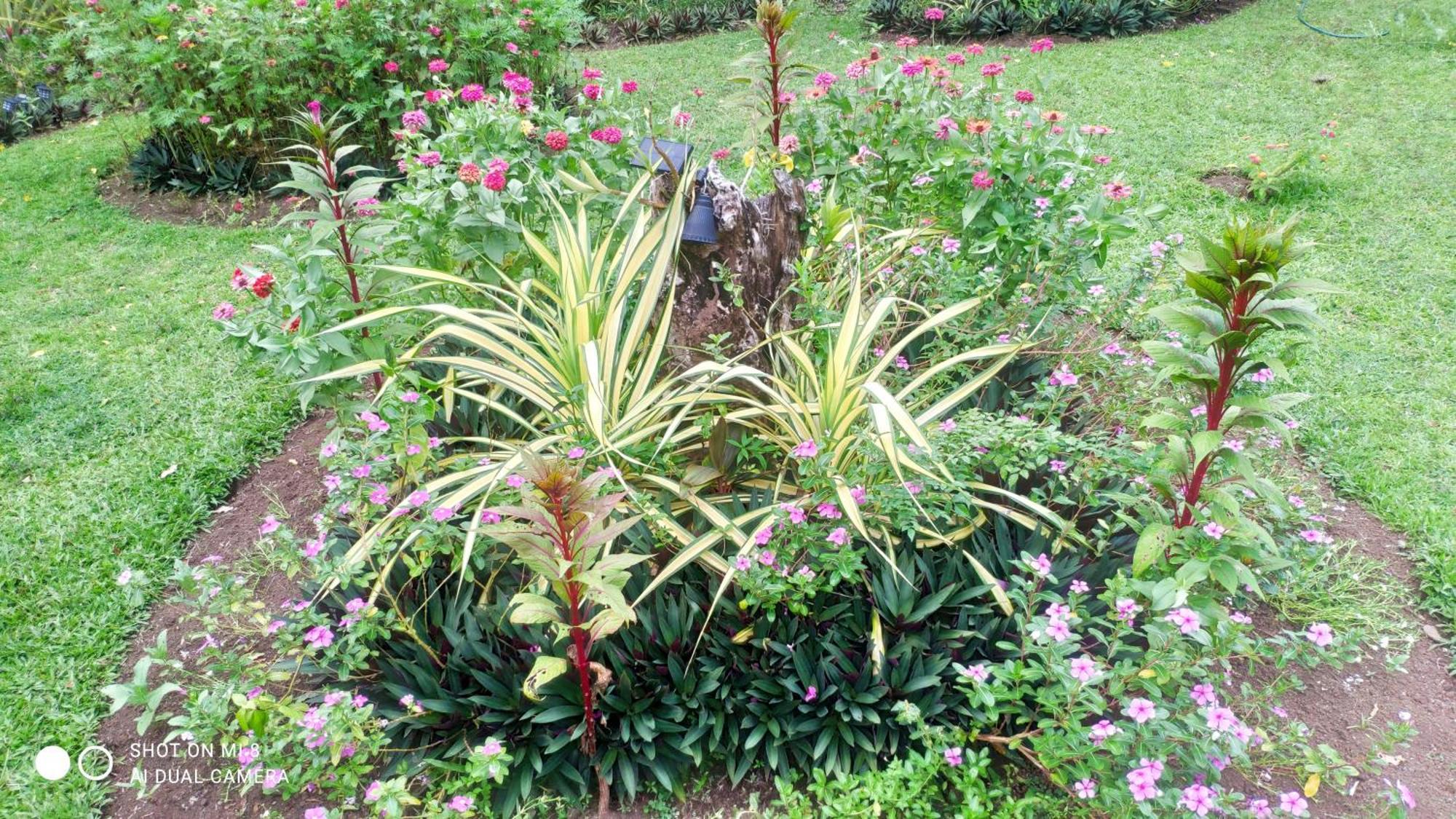 Sun House Rental Mambajao Bagian luar foto