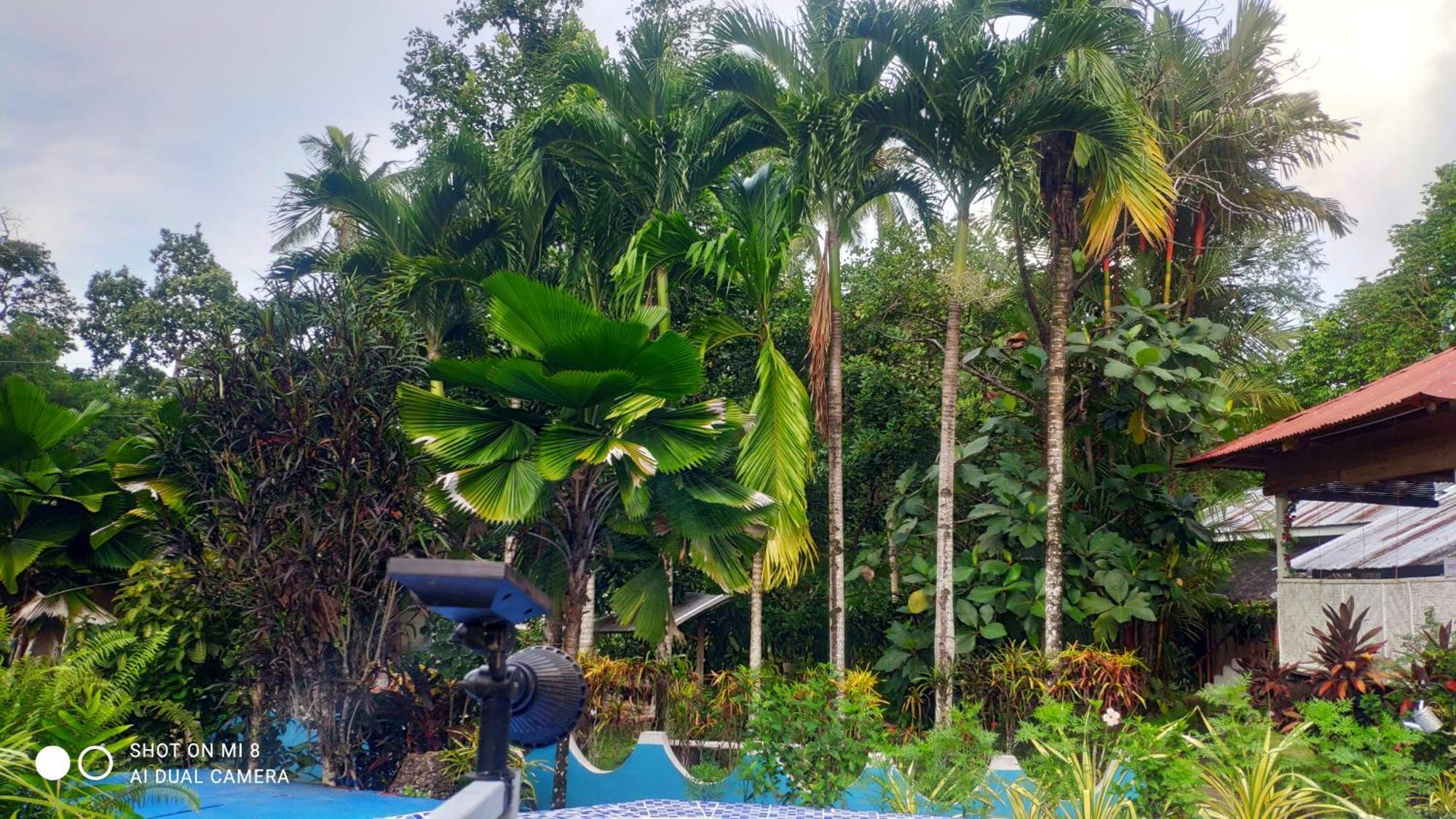 Sun House Rental Mambajao Bagian luar foto