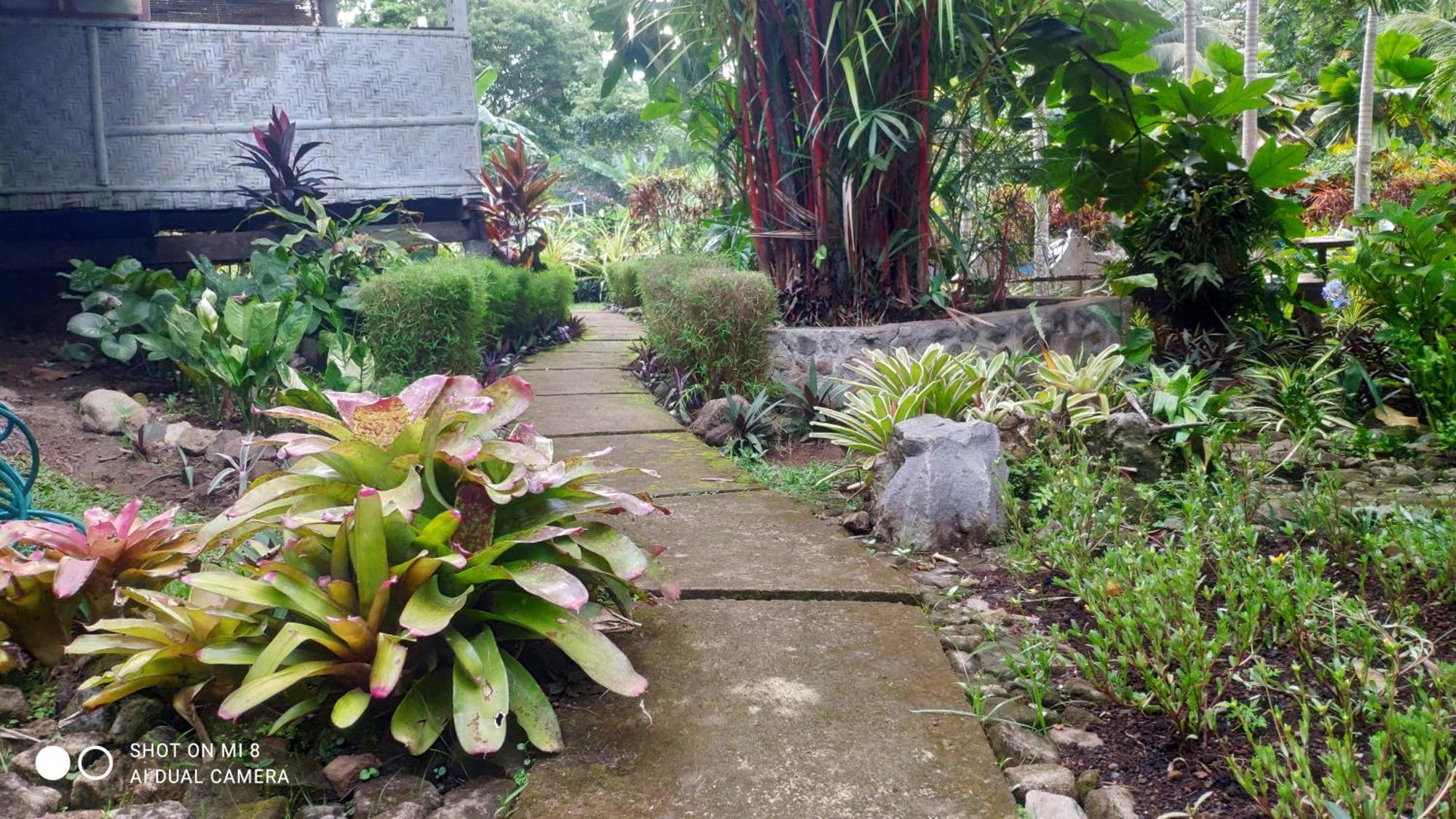 Sun House Rental Mambajao Bagian luar foto