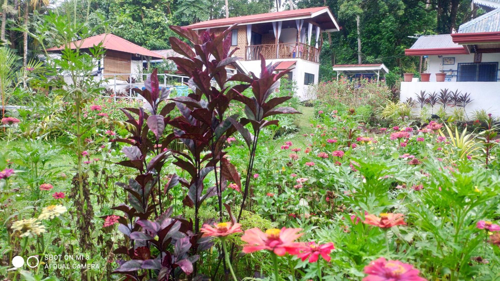 Sun House Rental Mambajao Bagian luar foto