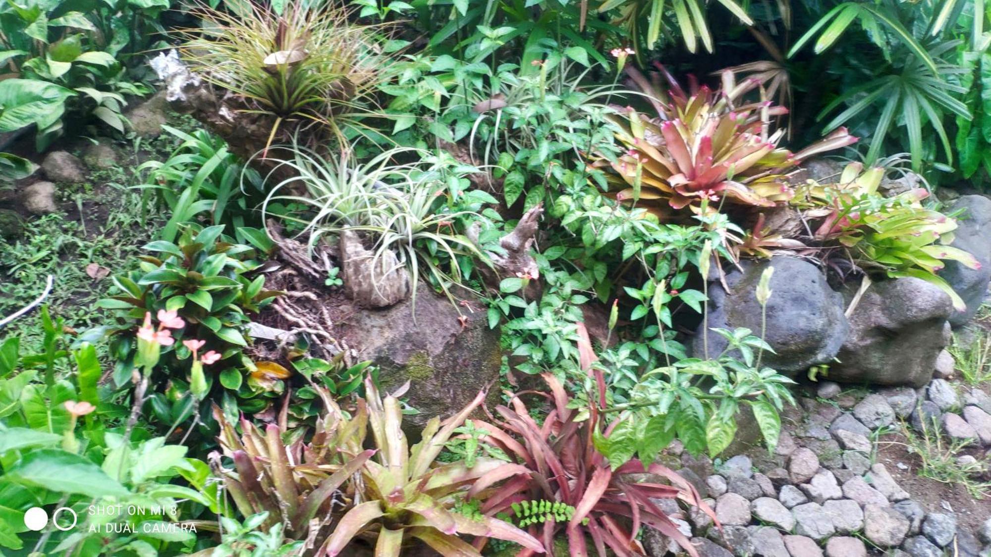 Sun House Rental Mambajao Bagian luar foto