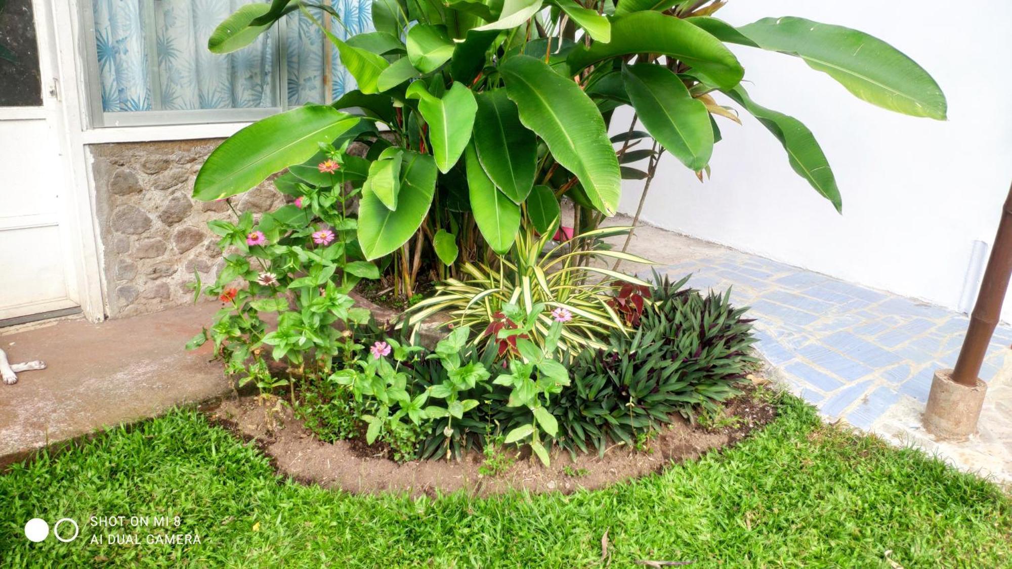 Sun House Rental Mambajao Bagian luar foto